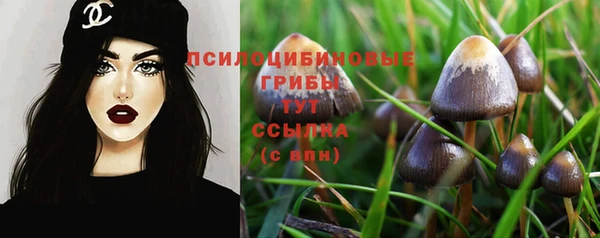экстази Лабытнанги
