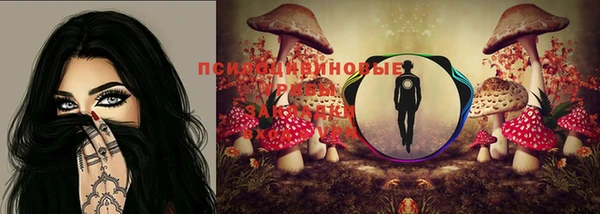 экстази Ладушкин
