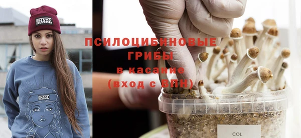 экстази Ладушкин