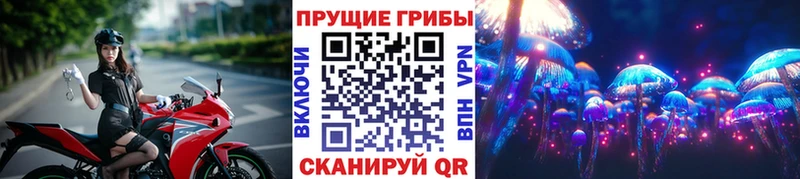 Псилоцибиновые грибы мицелий  купить закладку  Мостовской 
